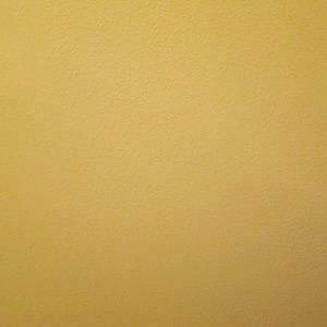 Meet your Posher, Noe